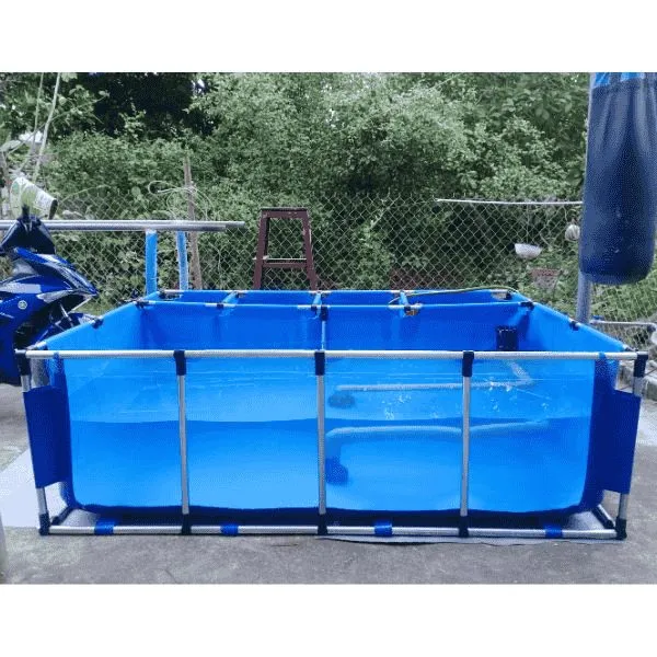 BỂ BẠT NUÔI CÁ CHỮ NHẬT KHÔNG CHIA NGĂN LỌC 1 MẶT TRONG SUỐT KT 2X1.2X0.8M