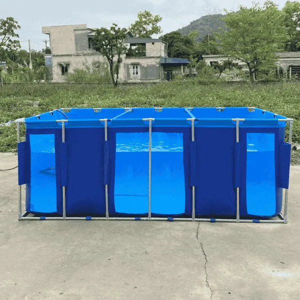 Bể bạt nuôi cá chữ nhật không chia ngăn lọc 1 mặt trong suốt kích thước 2x1x0.8m