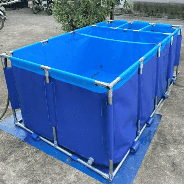 Bể bạt nuôi cá chữ nhật chia 3 ngăn lọc KT 2x1x0.8m