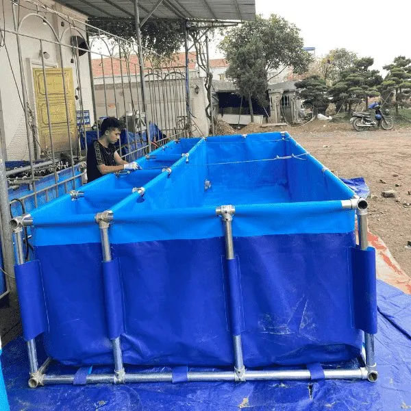 Bồn Bạt Nuôi Cá Chữ Nhật Chia 4 Ngăn Lọc KT 5x2x1m