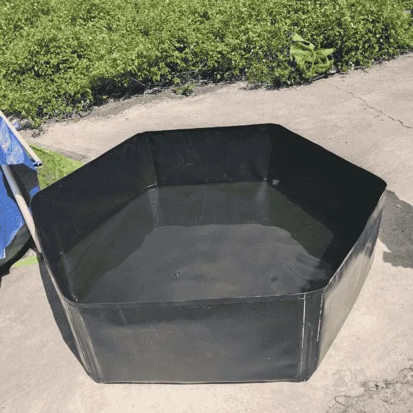 BỂ BẠT GIÁC NUÔI CÁ MÀU ĐEN - GIẢI PHÁP HIỆU QUẢ CHO NGÀNH THỦY SẢN