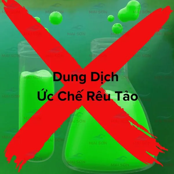Phụ Kiện: Dung Dịch Diệt Tảo ( 25Kg Đồng Sunfat)