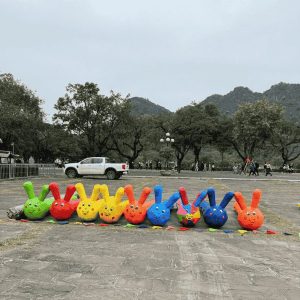 sau-hoi-ngo-nghinh (1)